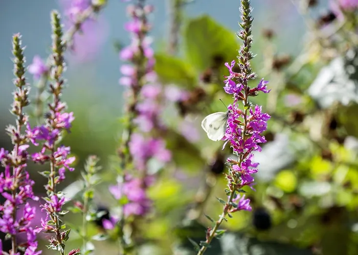 Beautiful In With Wifi Semesterbostad *